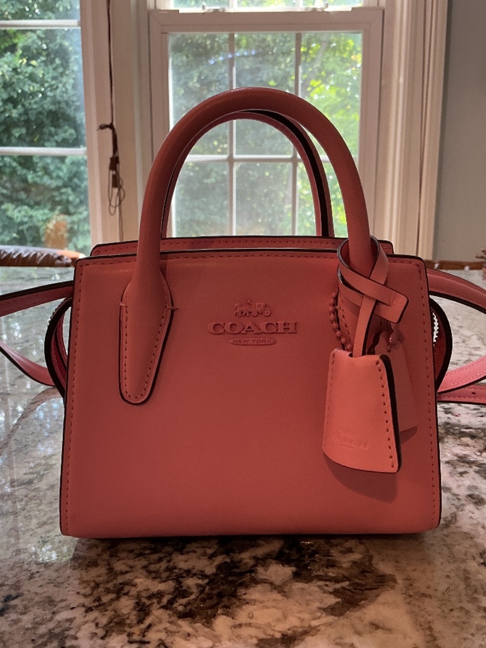 Mini coach purse